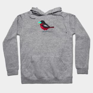 Black and Red Broadbill Bird Hoodie